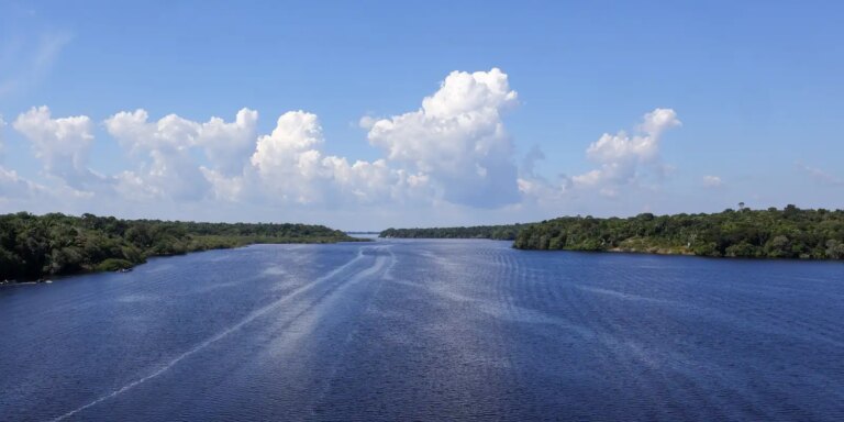 Jaraqui é reconhecido como patrimônio cultural imaterial do Amazonas jaraqui-e-reconhecido-como-patrimonio-cultural-imaterial-do-amazonas