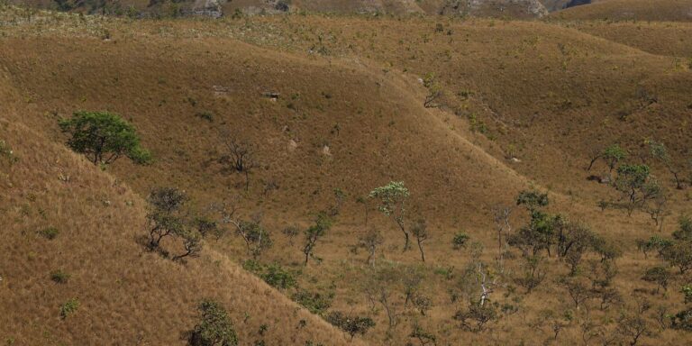MapBiomas: fragmentação de áreas naturais triplicou em 40 anos no país mapbiomas:-fragmentacao-de-areas-naturais-triplicou-em-40-anos-no-pais