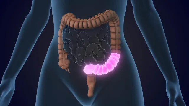 4 Regras Obrigatórias Para Proteger O Intestino Ao Tomar Antibióticos 4-regras-obrigatorias-para-proteger-o-intestino-ao-tomar-antibioticos