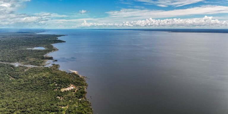 Dia do Meio Ambiente reforça importância de ações sustentáveis no país dia-do-meio-ambiente-reforca-importancia-de-acoes-sustentaveis-no-pais